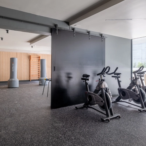 Gimnasio